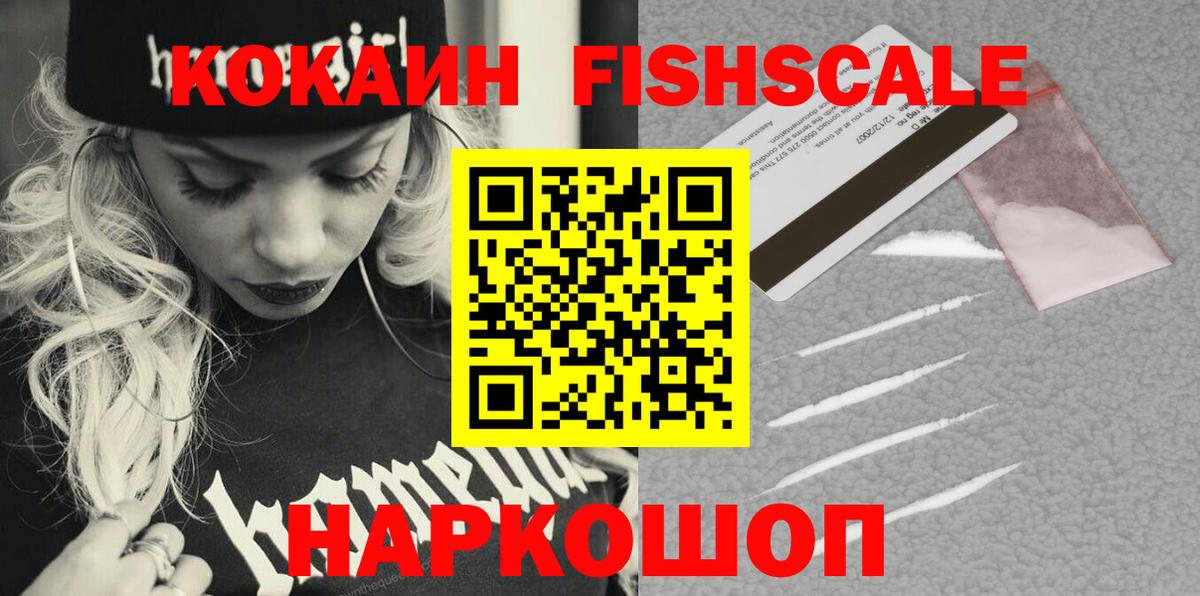 Cocaine FishScale  Вход с VPN  Каменка 