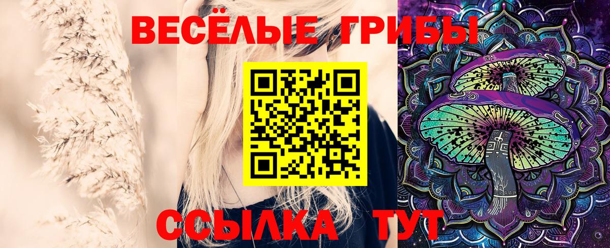 Галлюциногенные грибы GOLDEN TEACHER Каменка